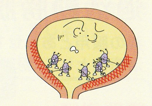 残尿感がある時の原因と解消方法 ベスト5 医療法人神楽岡泌尿器科